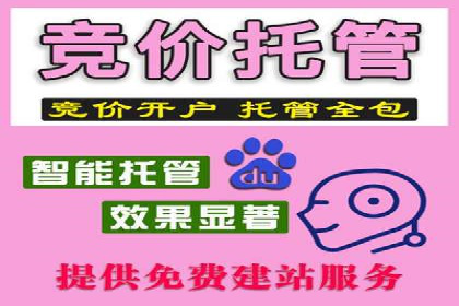 某公司SEM优化成功案例：从零到一的流量增长